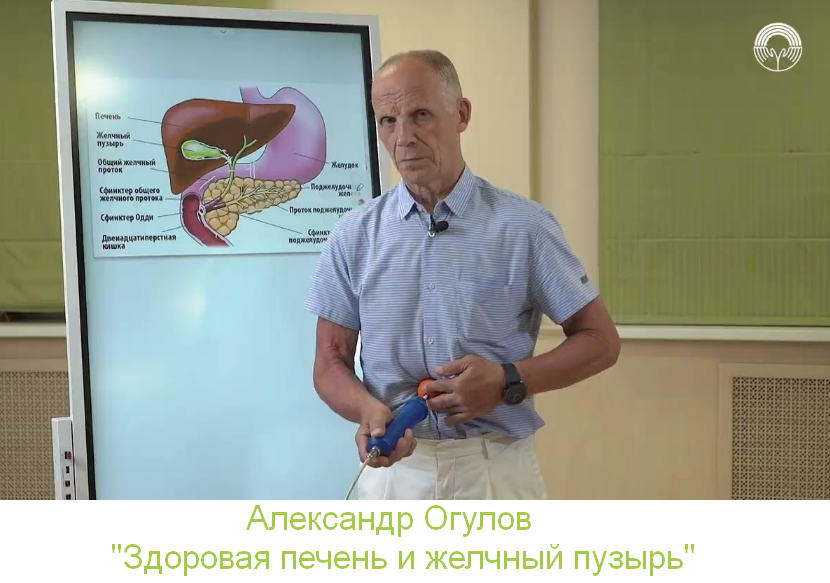 [Александр Огулов] [Академия Огулова] Здоровая печ_0.png